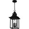 Quoizel Chancellor Outdoor Hanging 3 Lights Mystic Black CCR1910K - alternate 2